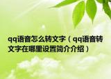 qq语音怎么转文字（qq语音转文字在哪里设置简介介绍）