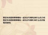 黑涩会美眉和棒棒糖有一起出过专辑吗(叫什么名介绍 黑涩会美眉和棒棒糖有一起出过专辑吗 叫什么名详细情况如何)