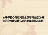 心疼你的心疼歌词什么意思啊介绍(心疼你的心疼歌词什么意思啊详细情况如何)