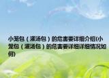小笼包（灌汤包）的危害要详细介绍(小笼包（灌汤包）的危害要详细详细情况如何)