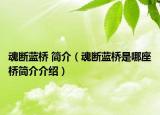 魂断蓝桥 简介（魂断蓝桥是哪座桥简介介绍）