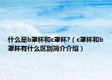 什么是b罩杯和c罩杯?（c罩杯和b罩杯有什么区别简介介绍）