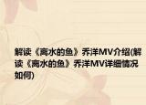 解读《离水的鱼》乔洋MV介绍(解读《离水的鱼》乔洋MV详细情况如何)