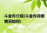 斗金传介绍(斗金传详细情况如何)