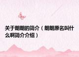 关于朗朗的简介（朗朗原名叫什么啊简介介绍）