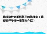 魏璎珞什么时候怀孕的第几集（魏璎珞怀孕哪一集简介介绍）