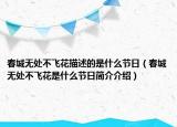 春城无处不飞花描述的是什么节日（春城无处不飞花是什么节日简介介绍）