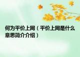 何为平价上网（平价上网是什么意思简介介绍）