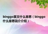 binggo英文什么意思（binggo什么意思简介介绍）