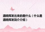 酒精挥发出来的是什么（什么是酒精挥发简介介绍）