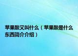 苹果酸又叫什么（苹果酸是什么东西简介介绍）