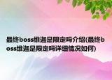 最终boss维迦是限定吗介绍(最终boss维迦是限定吗详细情况如何)