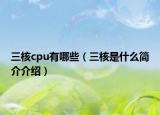 三核cpu有哪些（三核是什么简介介绍）