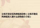 立场不坚定见风使舵的动物（立场不稳见风使舵的人是什么动物简介介绍）