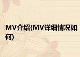 MV介绍(MV详细情况如何)