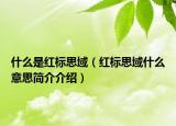 什么是红标思域（红标思域什么意思简介介绍）