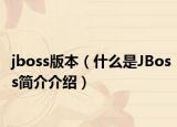 jboss版本（什么是JBoss简介介绍）