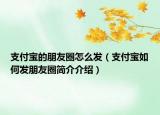 支付宝的朋友圈怎么发（支付宝如何发朋友圈简介介绍）