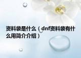 资料袋是什么（dnf资料袋有什么用简介介绍）