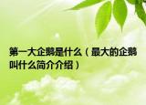 第一大企鹅是什么（最大的企鹅叫什么简介介绍）