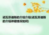 诺瓦芬迪斯的介绍介绍(诺瓦芬迪斯的介绍详细情况如何)