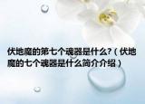 伏地魔的第七个魂器是什么?（伏地魔的七个魂器是什么简介介绍）