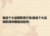 我是个大盗贼歌词介绍(我是个大盗贼歌词详细情况如何)