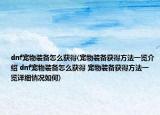 dnf宠物装备怎么获得(宠物装备获得方法一览介绍 dnf宠物装备怎么获得 宠物装备获得方法一览详细情况如何)