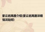 紫云岩高度介绍(紫云岩高度详细情况如何)