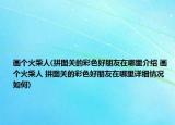 画个火柴人(拼图关的彩色好朋友在哪里介绍 画个火柴人 拼图关的彩色好朋友在哪里详细情况如何)