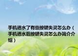 手机进水了有些按键失灵怎么办（手机进水后按键失灵怎么办简介介绍）