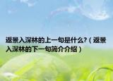 返景入深林的上一句是什么?（返景入深林的下一句简介介绍）