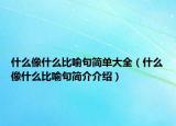 什么像什么比喻句简单大全（什么像什么比喻句简介介绍）