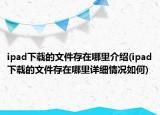 ipad下载的文件存在哪里介绍(ipad下载的文件存在哪里详细情况如何)