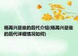 杨再兴是谁的后代介绍(杨再兴是谁的后代详细情况如何)