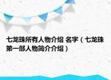七龙珠所有人物介绍 名字（七龙珠第一部人物简介介绍）