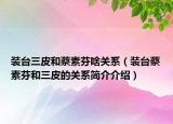 装台三皮和蔡素芬啥关系（装台蔡素芬和三皮的关系简介介绍）