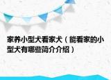 家养小型犬看家犬（能看家的小型犬有哪些简介介绍）