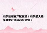 山东蔬菜主产区在哪（山东最大蔬菜基地在哪里简介介绍）