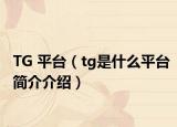 TG 平台（tg是什么平台简介介绍）