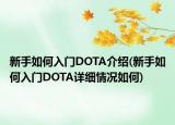 新手如何入门DOTA介绍(新手如何入门DOTA详细情况如何)