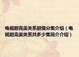 电视剧完美关系剧情分集介绍（电视剧完美关系共多少集简介介绍）