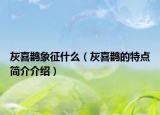 灰喜鹊象征什么（灰喜鹊的特点简介介绍）
