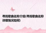 寻找歌曲名称介绍(寻找歌曲名称详细情况如何)