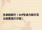 生命的碎片（dnf生命力碎片怎么收集简介介绍）