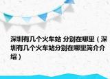 深圳有几个火车站 分别在哪里（深圳有几个火车站分别在哪里简介介绍）