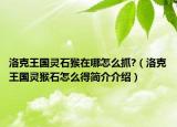 洛克王国灵石猴在哪怎么抓?（洛克王国灵猴石怎么得简介介绍）