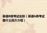 英语B级考试名称（英语b级考试是什么简介介绍）