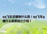 qq飞车求婚有什么用（qq飞车g婚什么意思简介介绍）