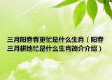 三月阳春春更忙是什么生肖（阳春三月耕地忙是什么生肖简介介绍）